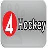 SE: TV4 Hockey ᴴᴰ ◉ ⁵⁰ᶠᵖˢ