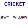 US: WILLOW CRICKET EXTRA