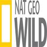 BE: beIN NAT GEO WILD ᴴᴰ