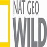NO: Nat Geo Wild ᵁᴸᵀᴿᴬ ᴿᴬᵂ