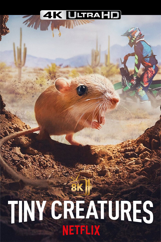 4K-NF - Tiny Creatures (GB)