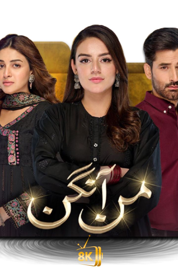 PK - Mann Aangan (PK)