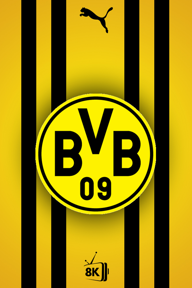 FB - Borussia Dortmund