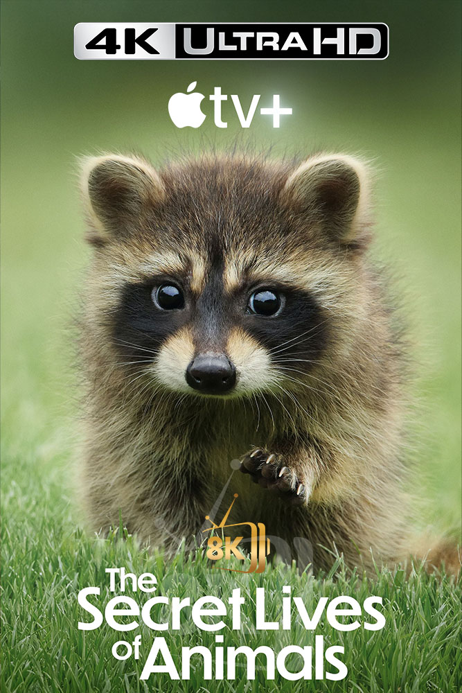 4K-A+ - The Secret Lives of Animals (2024) (GB)