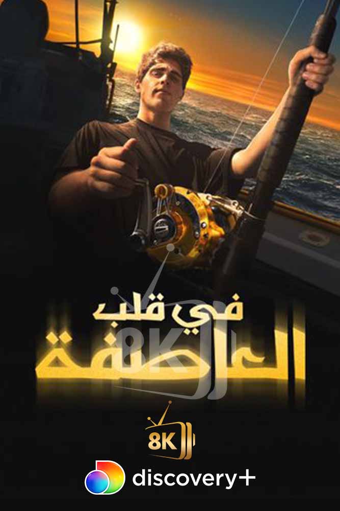 DSC+D - All on the Line (2020) في قلب العاصفة