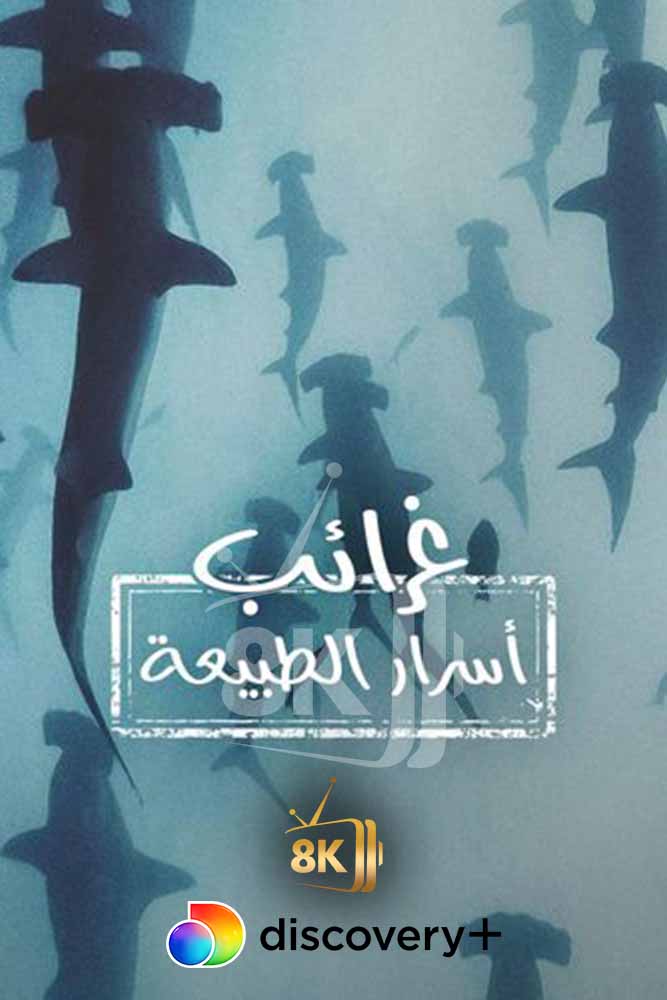 DSC+D - Nature's Strangest Mysteries: Solved (2019) غرائب اسرار الطبيعة