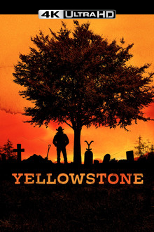 4K-DE - Yellowstone (2018) (US)