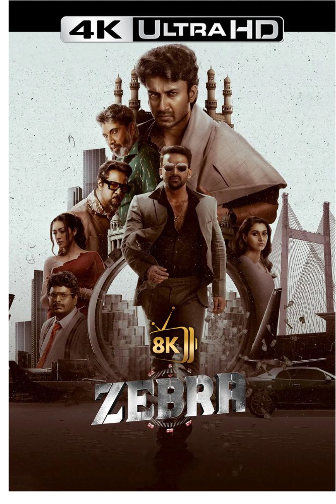 4K-IN - Zebra (2024)