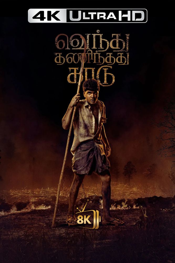 4K-IN - Vendhu Thanindhathu Kaadu (2022)