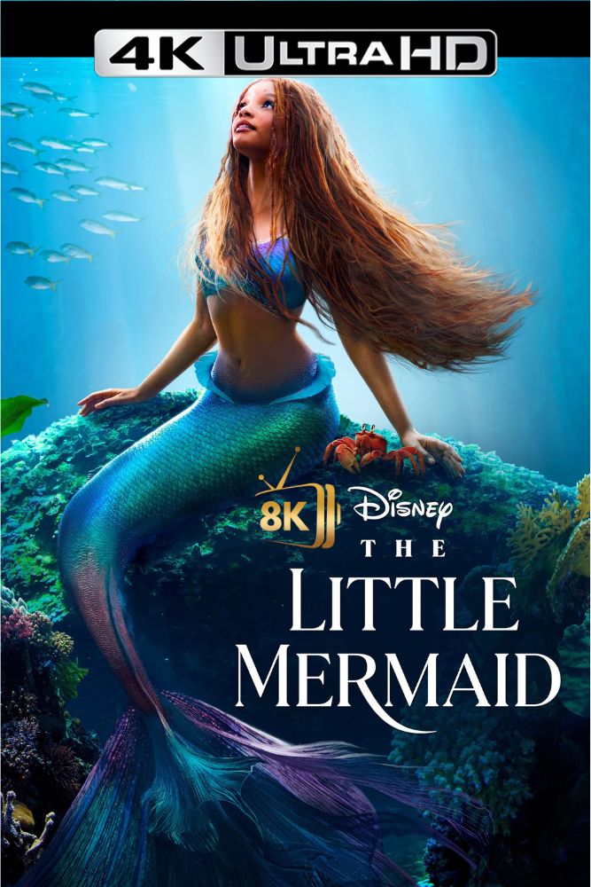 4K-IN - The Little Mermaid (2023)