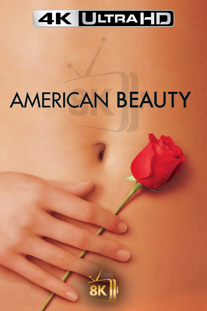 4K-AR - AR-SUBS - American Beauty (1999)