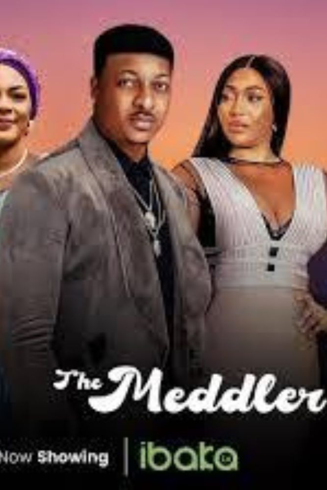 AF-EN - The Meddler