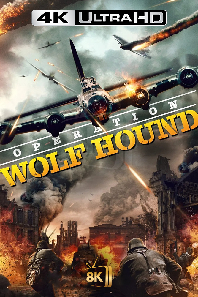 4K-AR - Wolf Hound (2022)