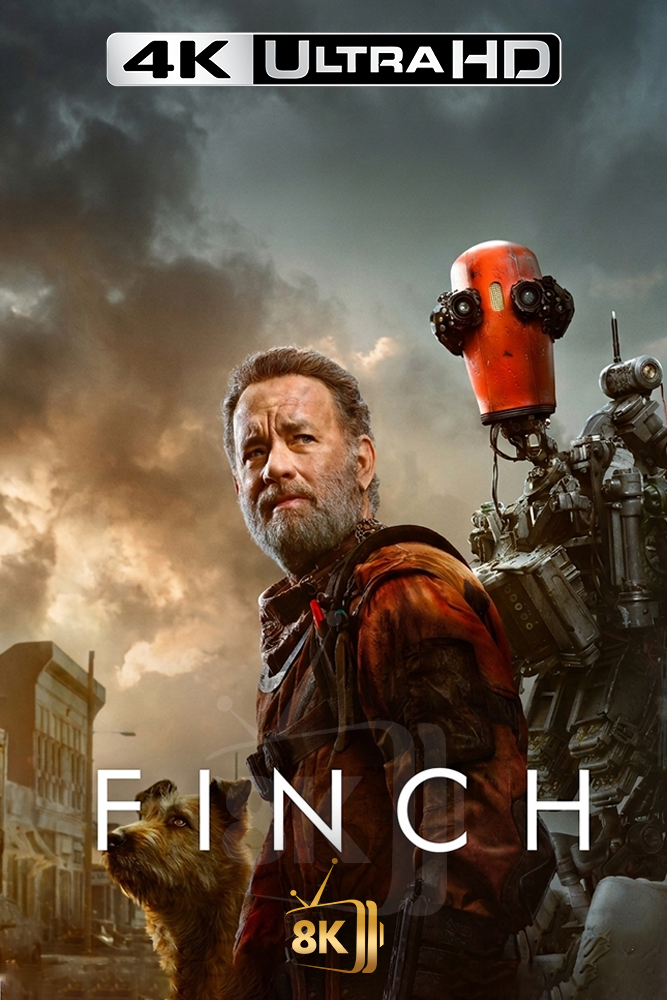 4K-AR - Finch (2021)