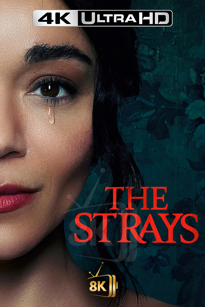 4K-AR - The Strays (2023)