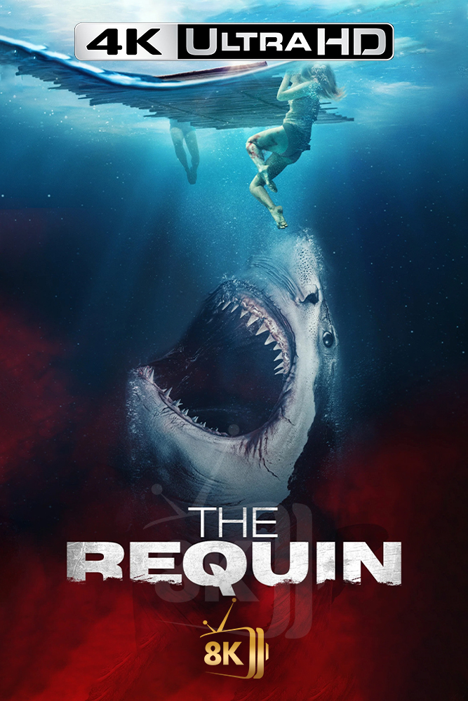 4K-AR - The Requin (2022)