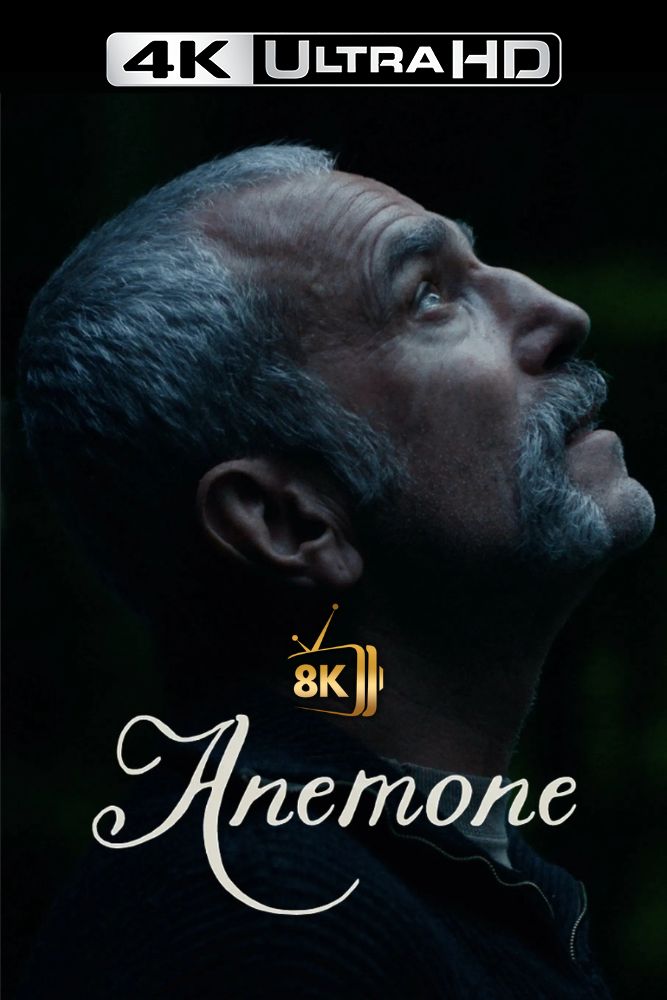 4K-IN - Anemone (2025)