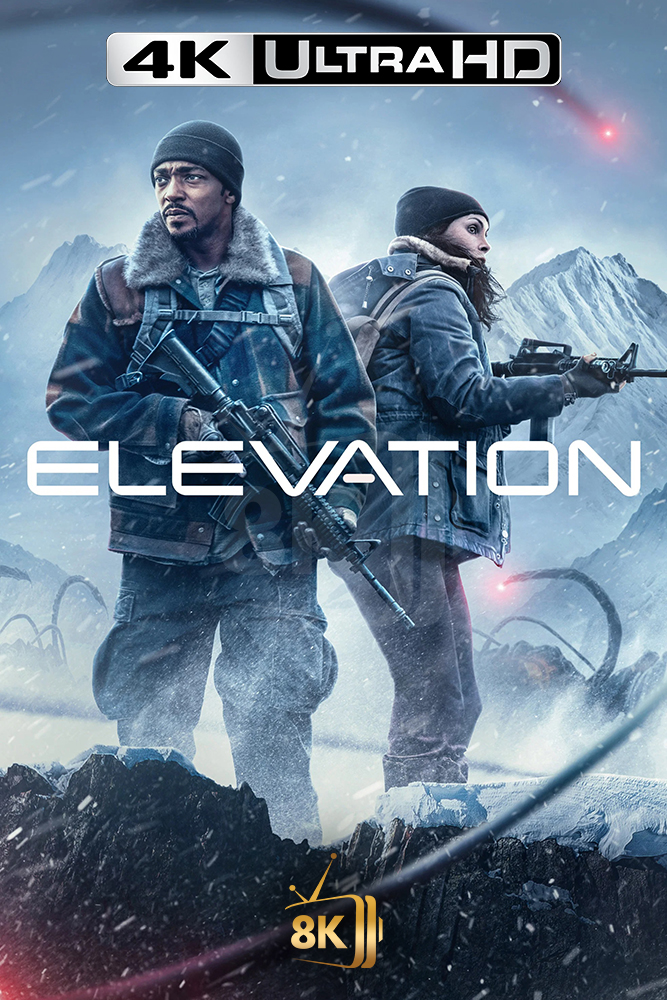 4K-AR - Elevation (2024)