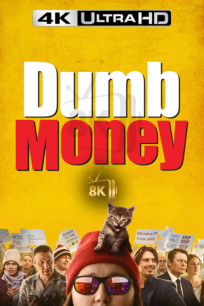 4K-AR - Dumb Money (2023)