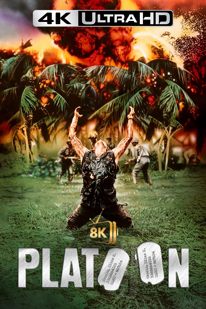 4K-AR - Platoon (1986)