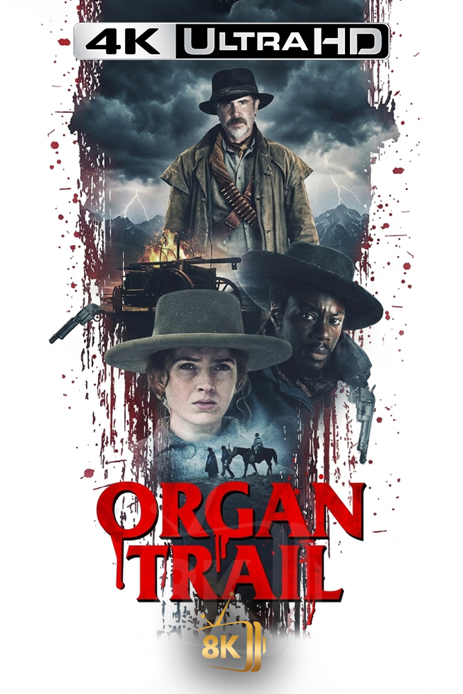 4K-AR - Organ Trail (2023)