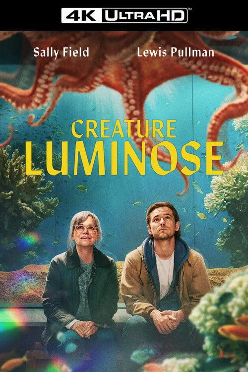4K-IT - Creature luminose (2026)