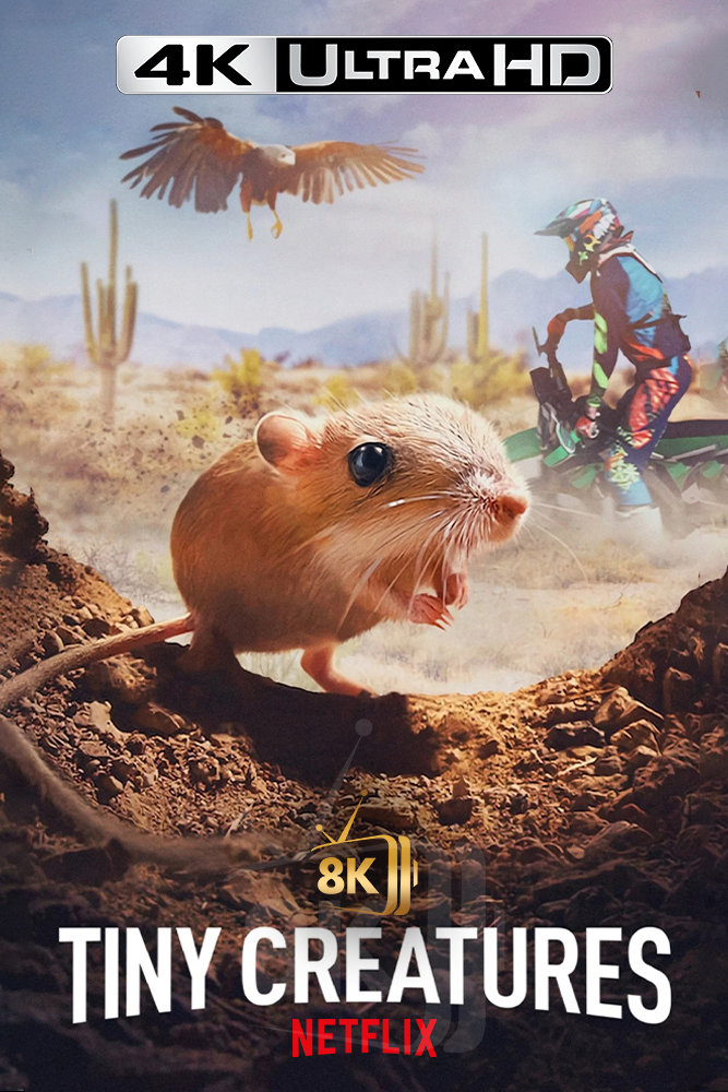 4K-NF - Tiny Creatures (GB)