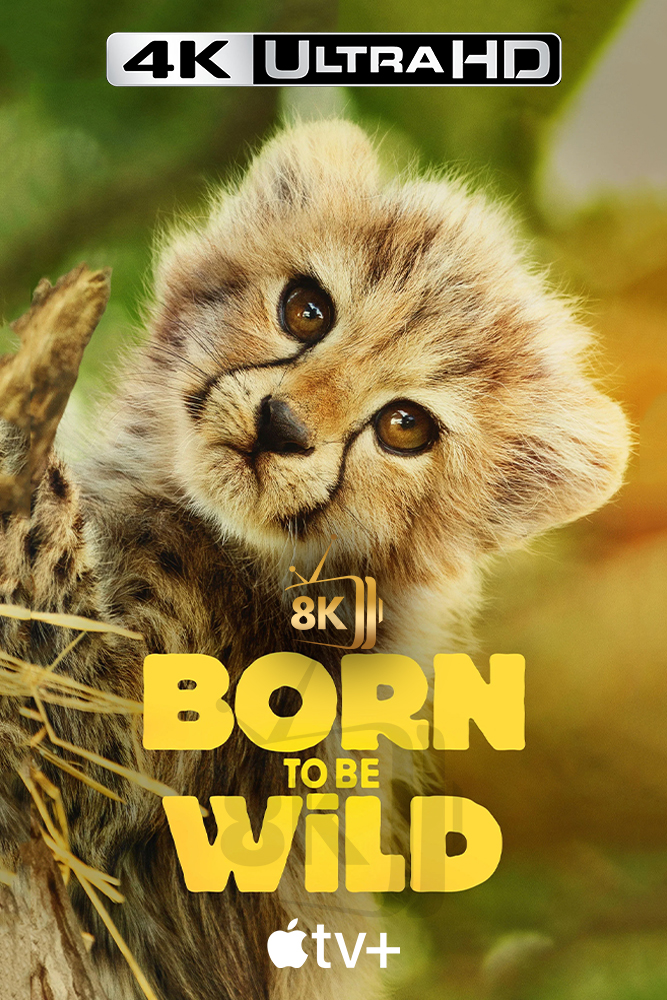 4K-A+ - Born to Be Wild (2025) (GB)