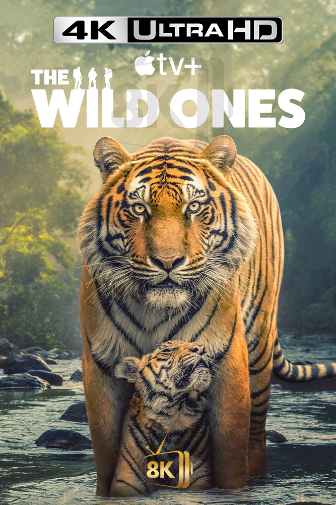 4K-A+ - The Wild Ones (2025) (GB)