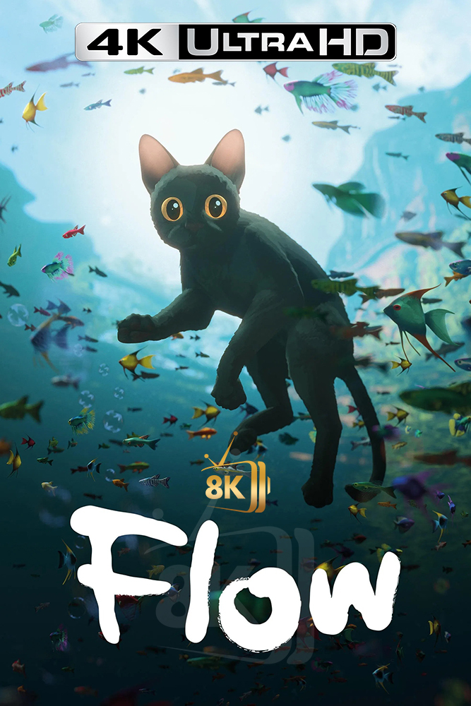 4K-SUBS - Flow (2024)